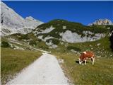 Parkirišče Alpspitzbahn - Osterfelderkopf